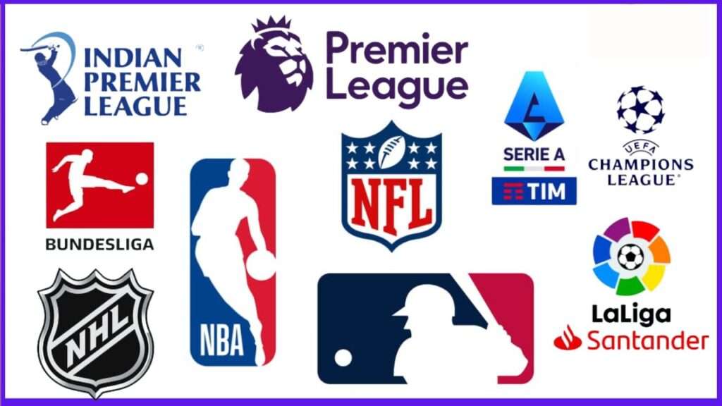 Professional Sports Leagues by Revenue 2024