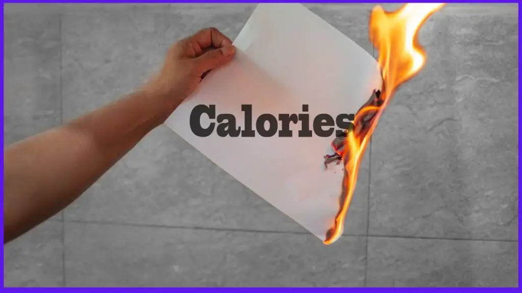 Which Sport Burns Most Calories